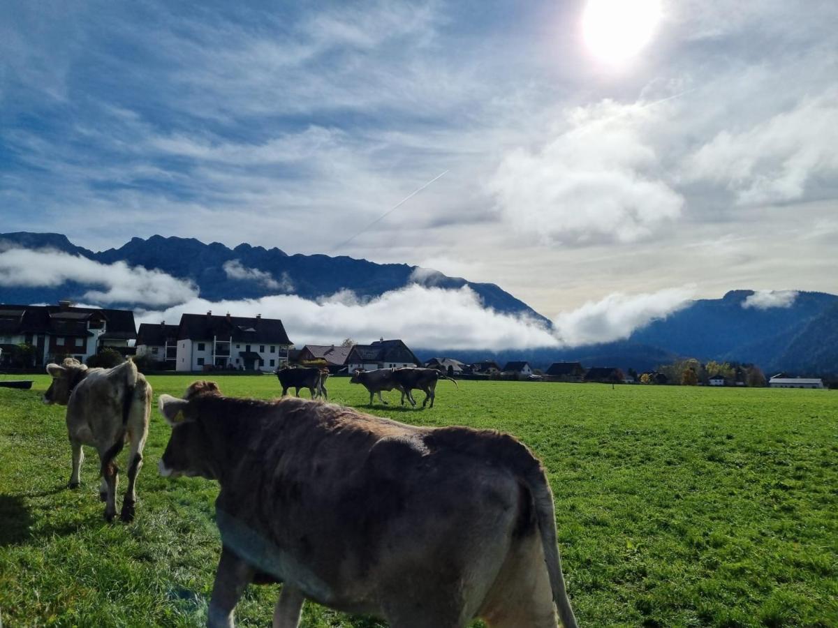 Urlaub Am Bauernhof Bei Familie Steinbrecher Bad Mitterndorf Bagian luar foto