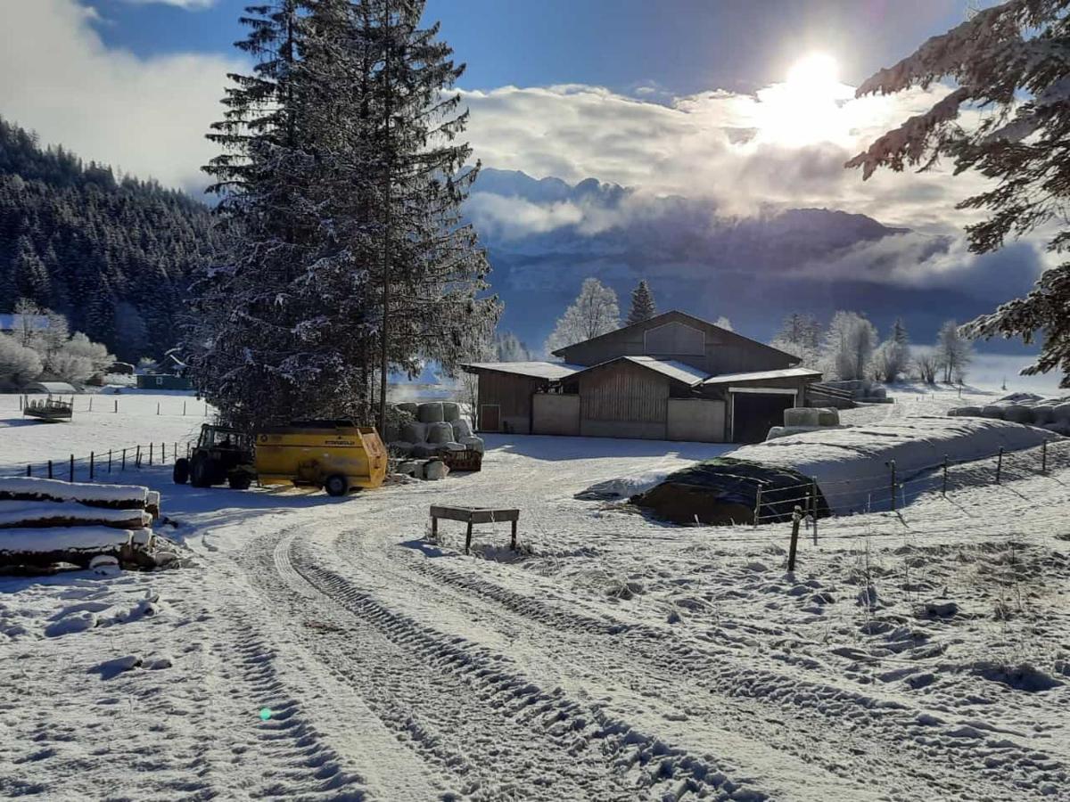 Urlaub Am Bauernhof Bei Familie Steinbrecher Bad Mitterndorf Bagian luar foto